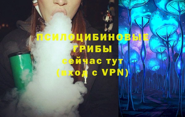 apvp Аркадак