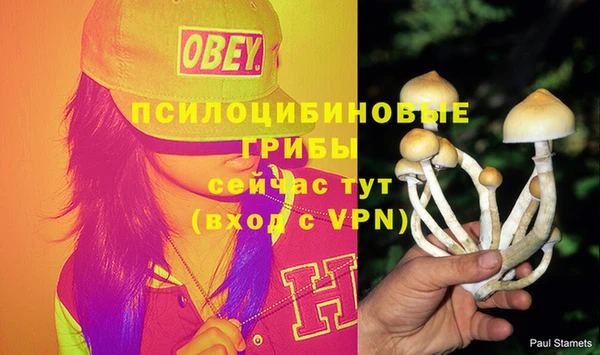 ECSTASY Армянск