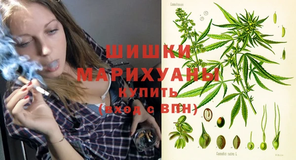 apvp Аркадак