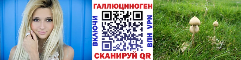 Галлюциногенные грибы мицелий  Бабушкин 